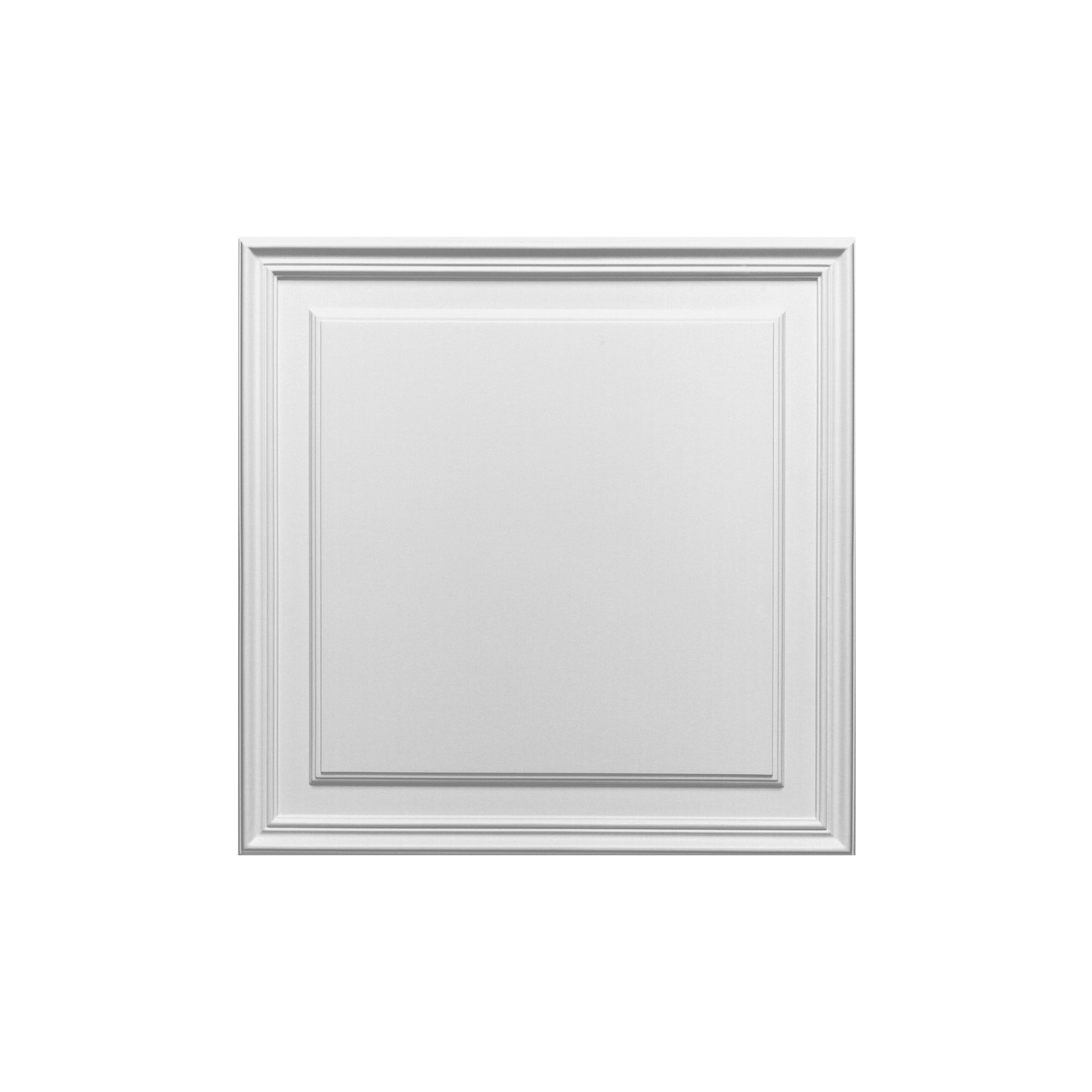 D503 ORAC Dveřní panel